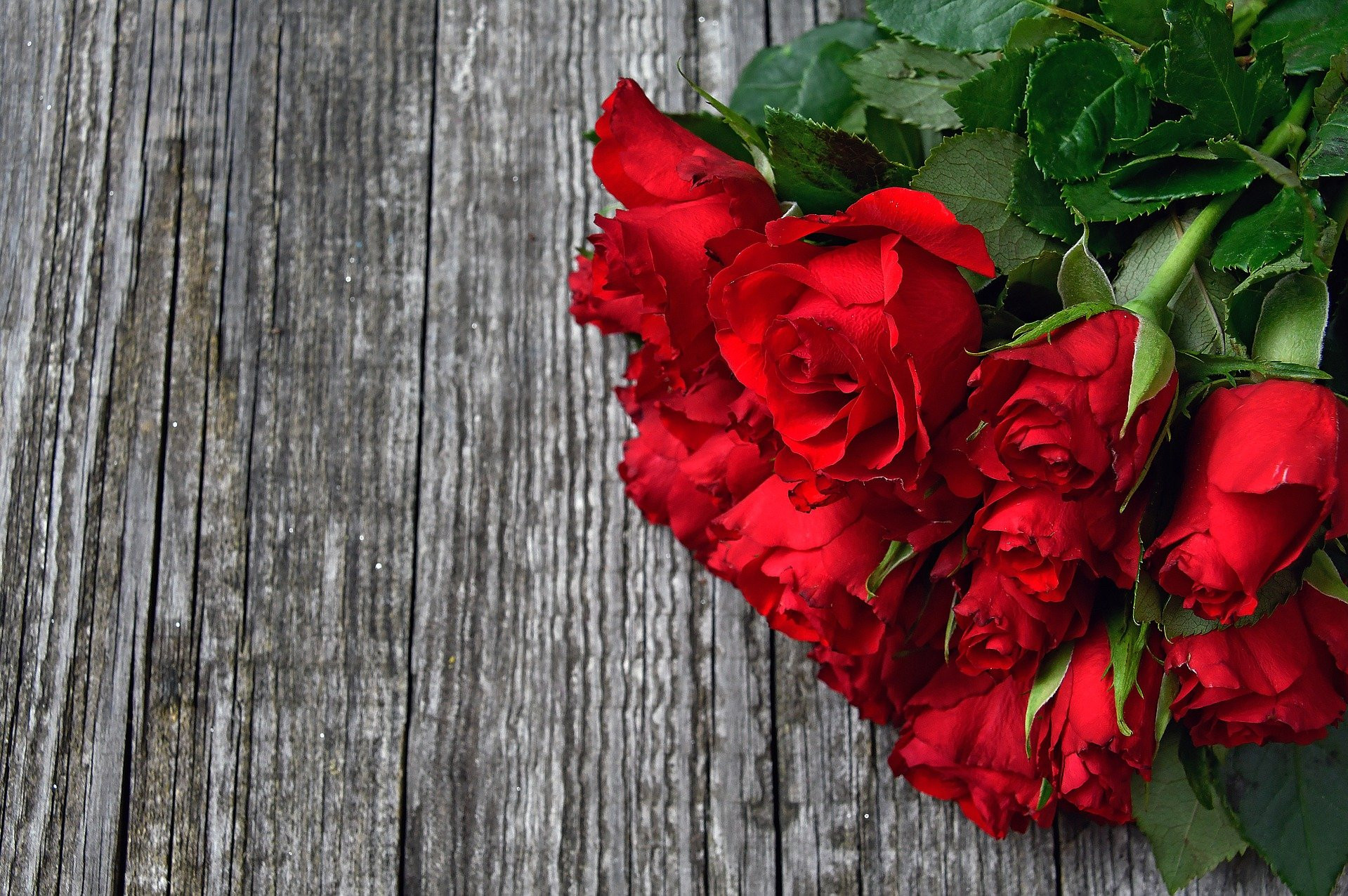 pixabay geschenk