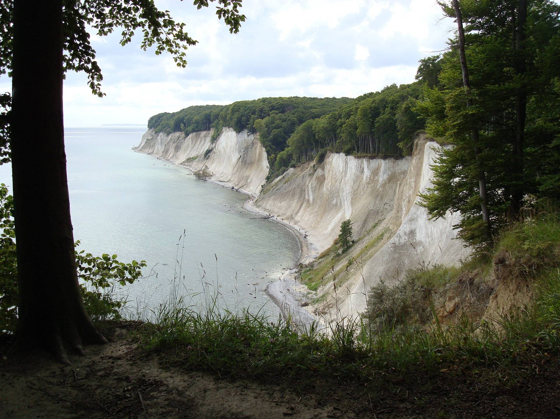 ruegen-kreidefelsen