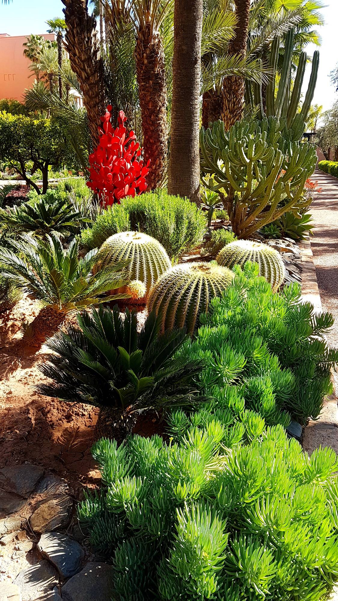 original La Mamounia1