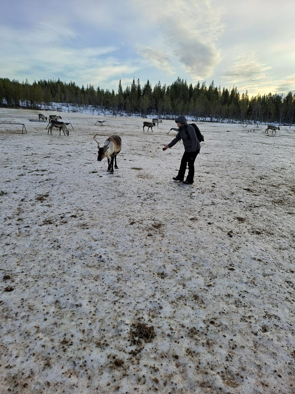 original IMG-20250118-WA0006