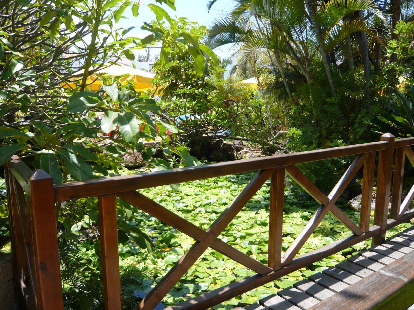 original P1020002
