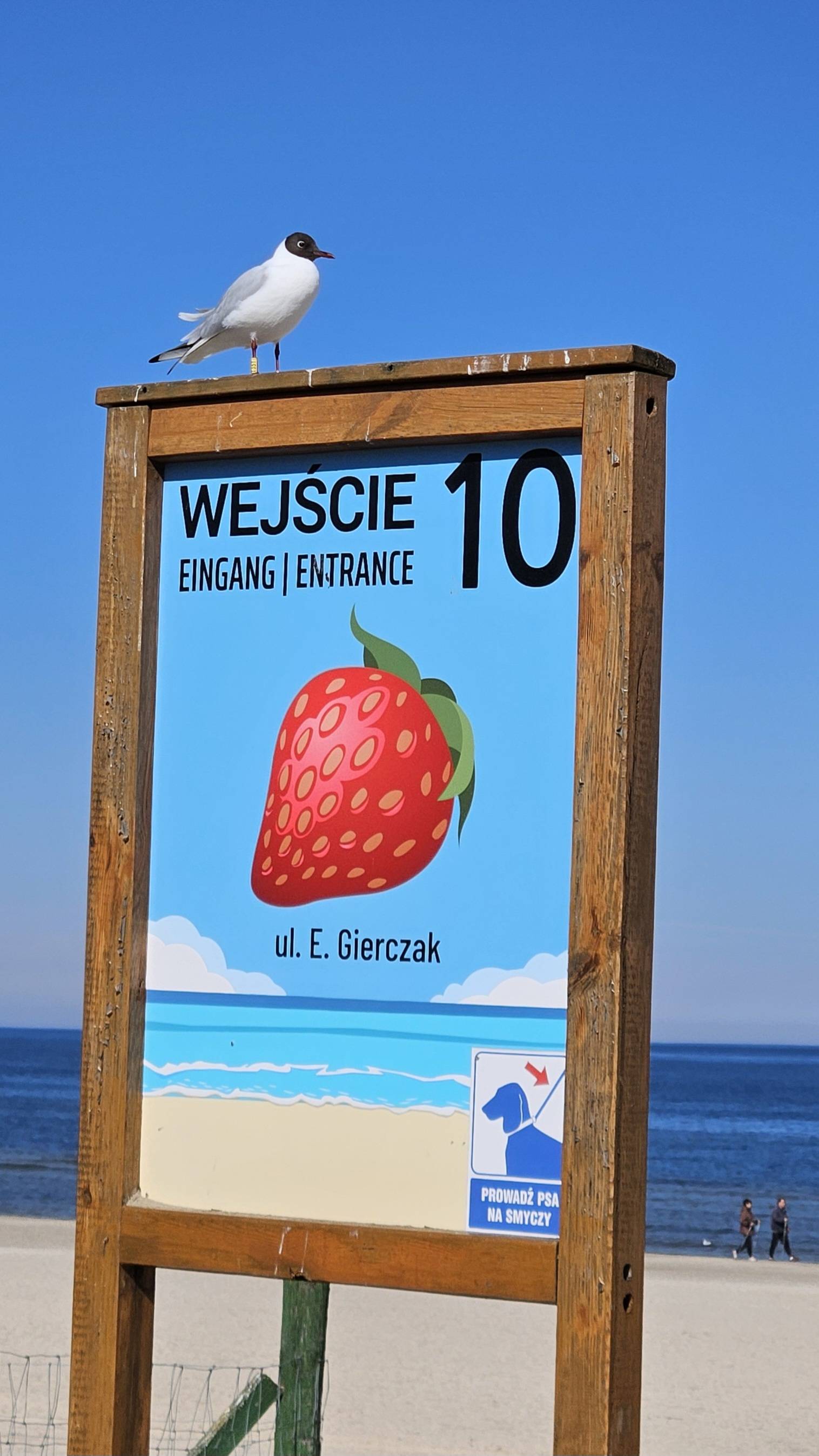 original 20260321 115958