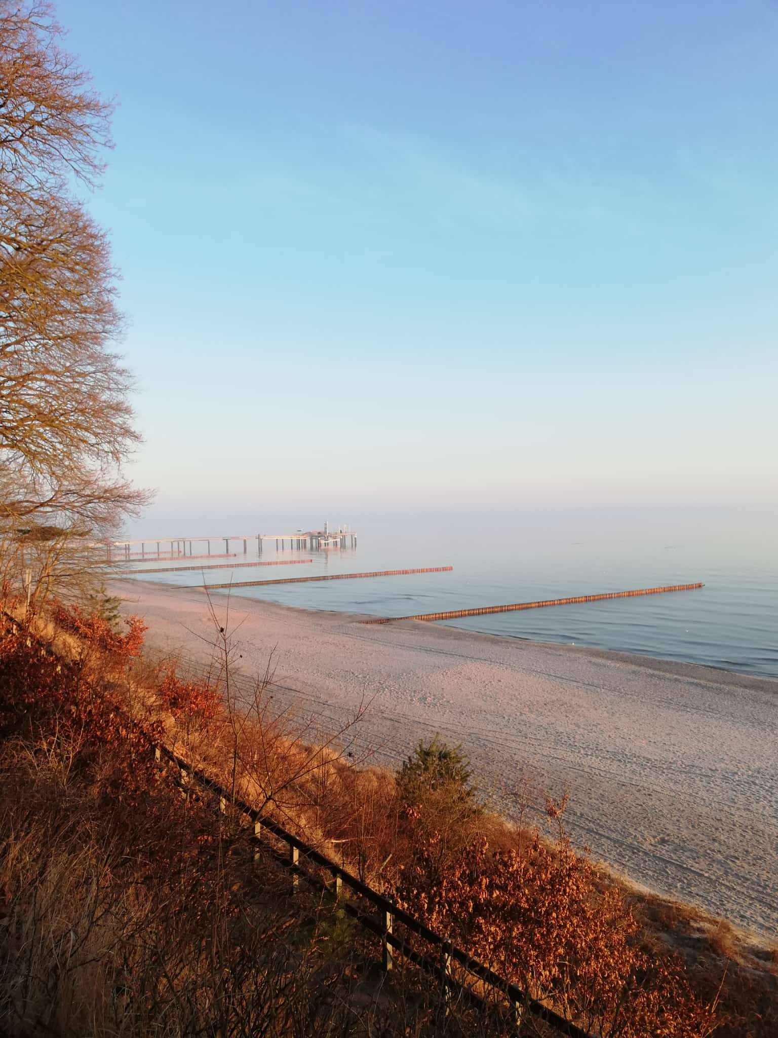 original IMG-20260319-WA0005