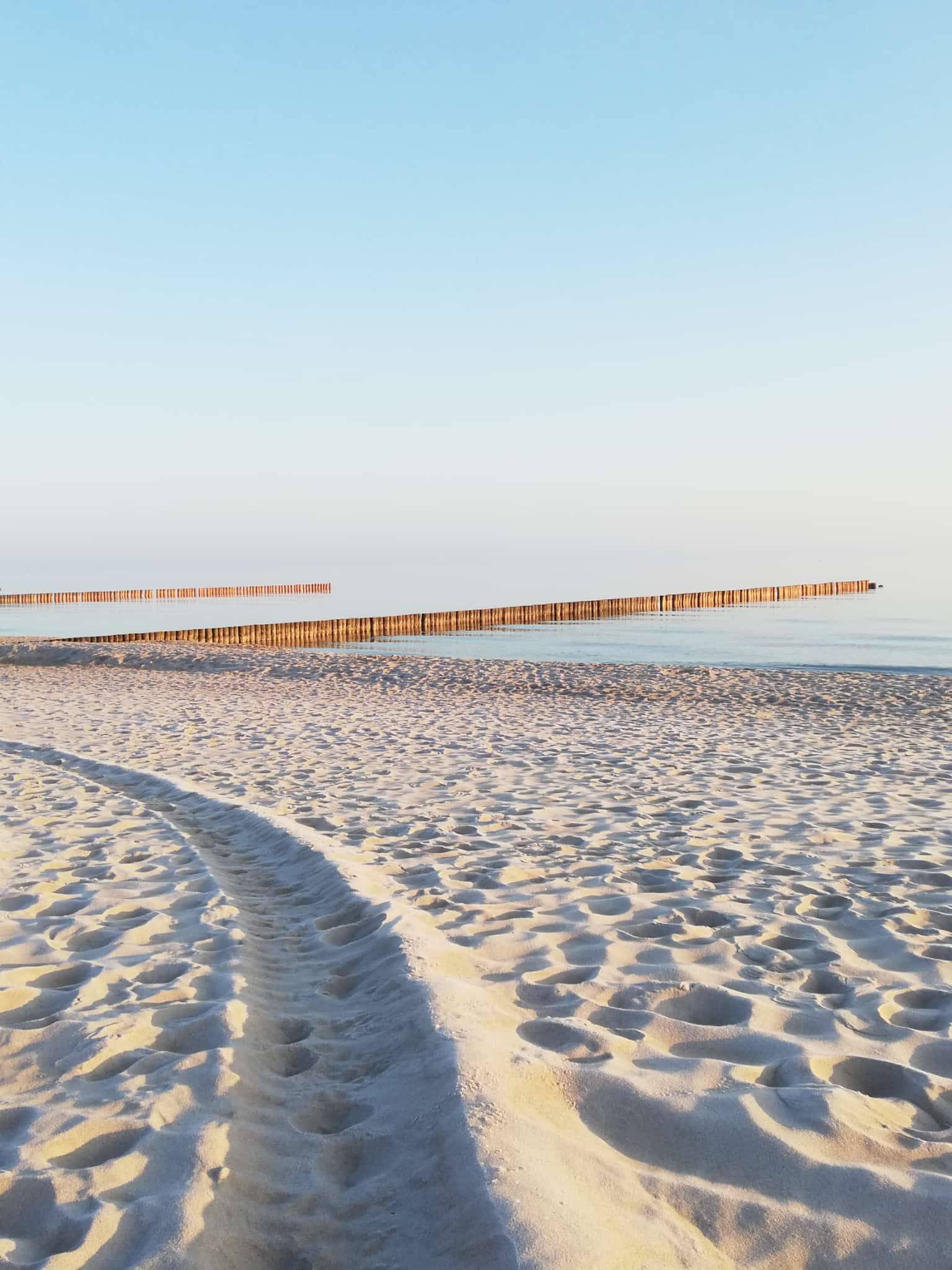 original IMG-20260319-WA0008