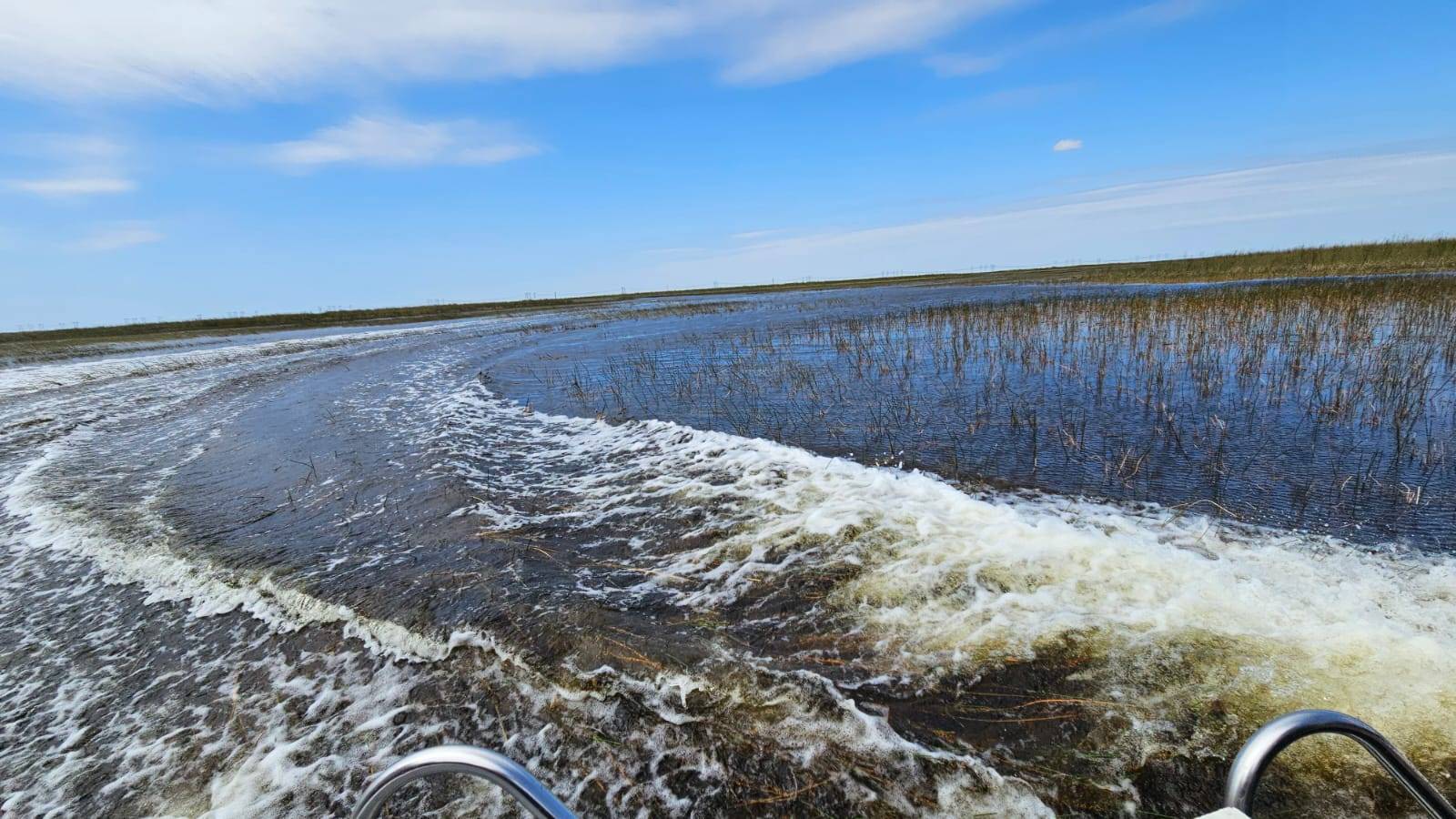original Sawgrass3