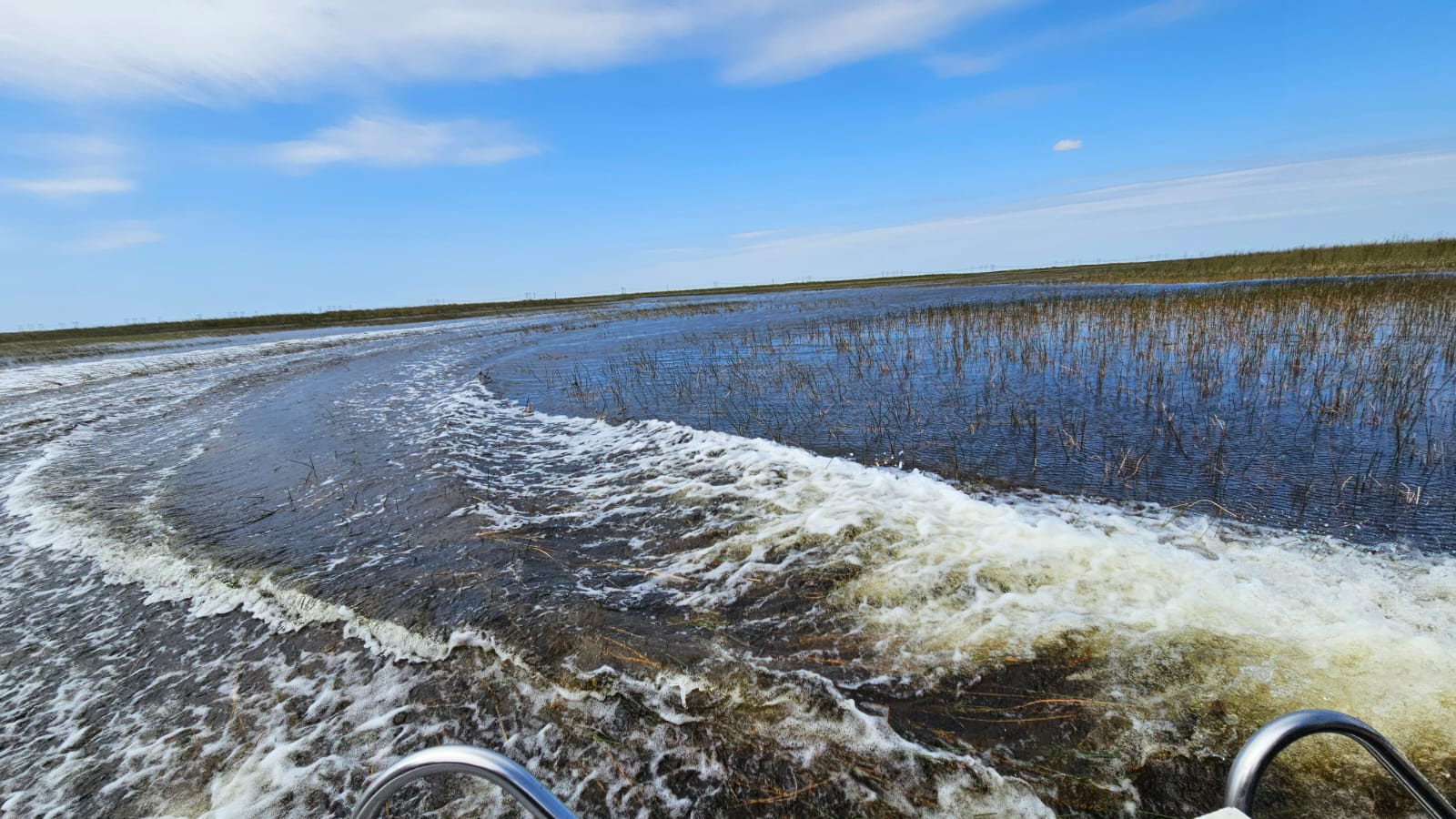 original Sawgrass3