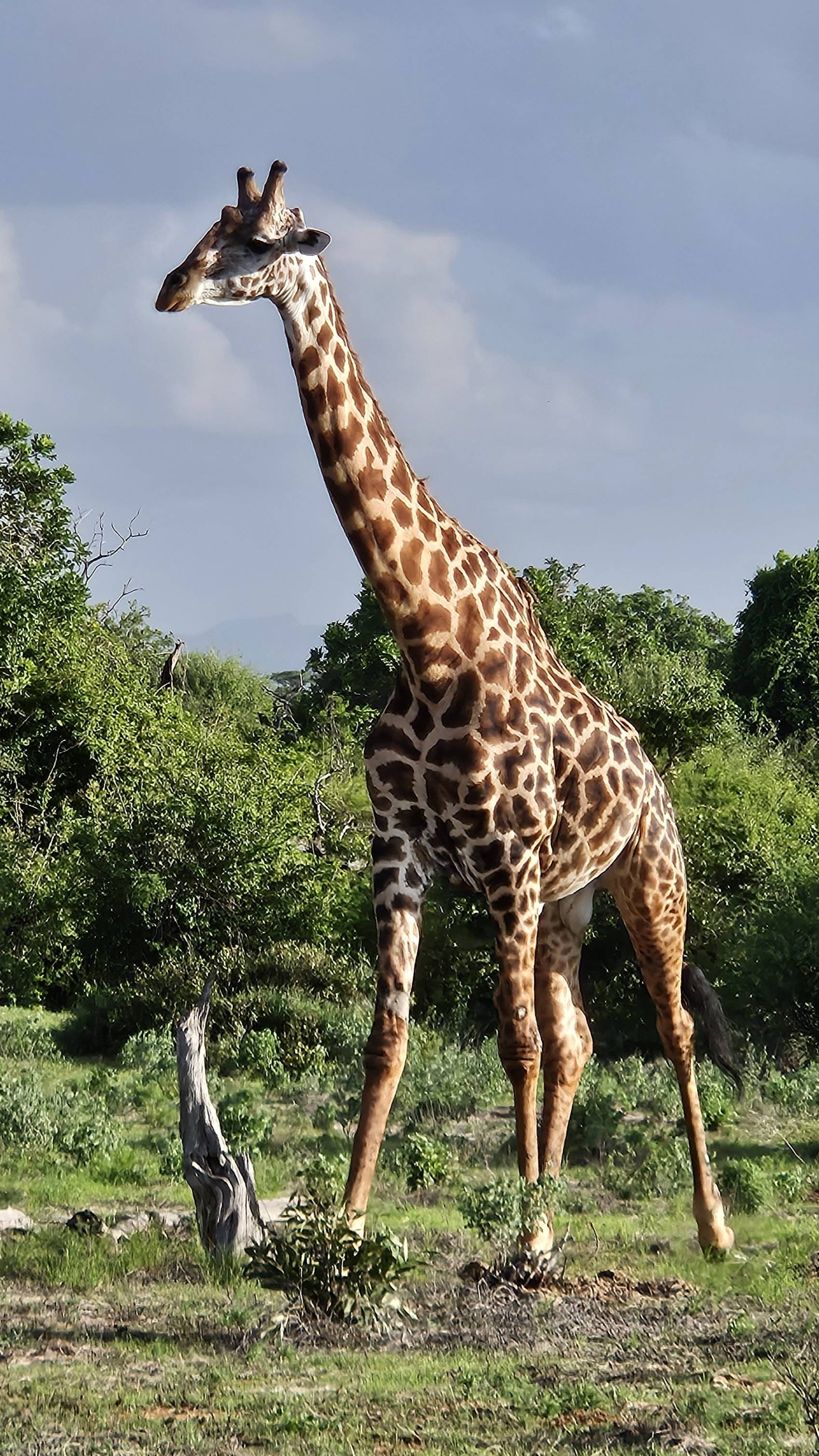 original 20260303 172530