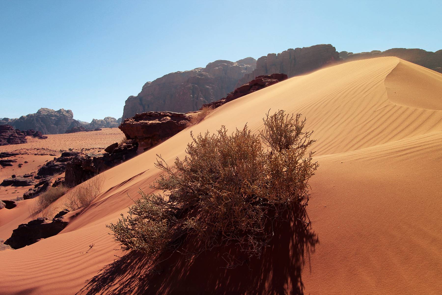 original Wadi Rum17