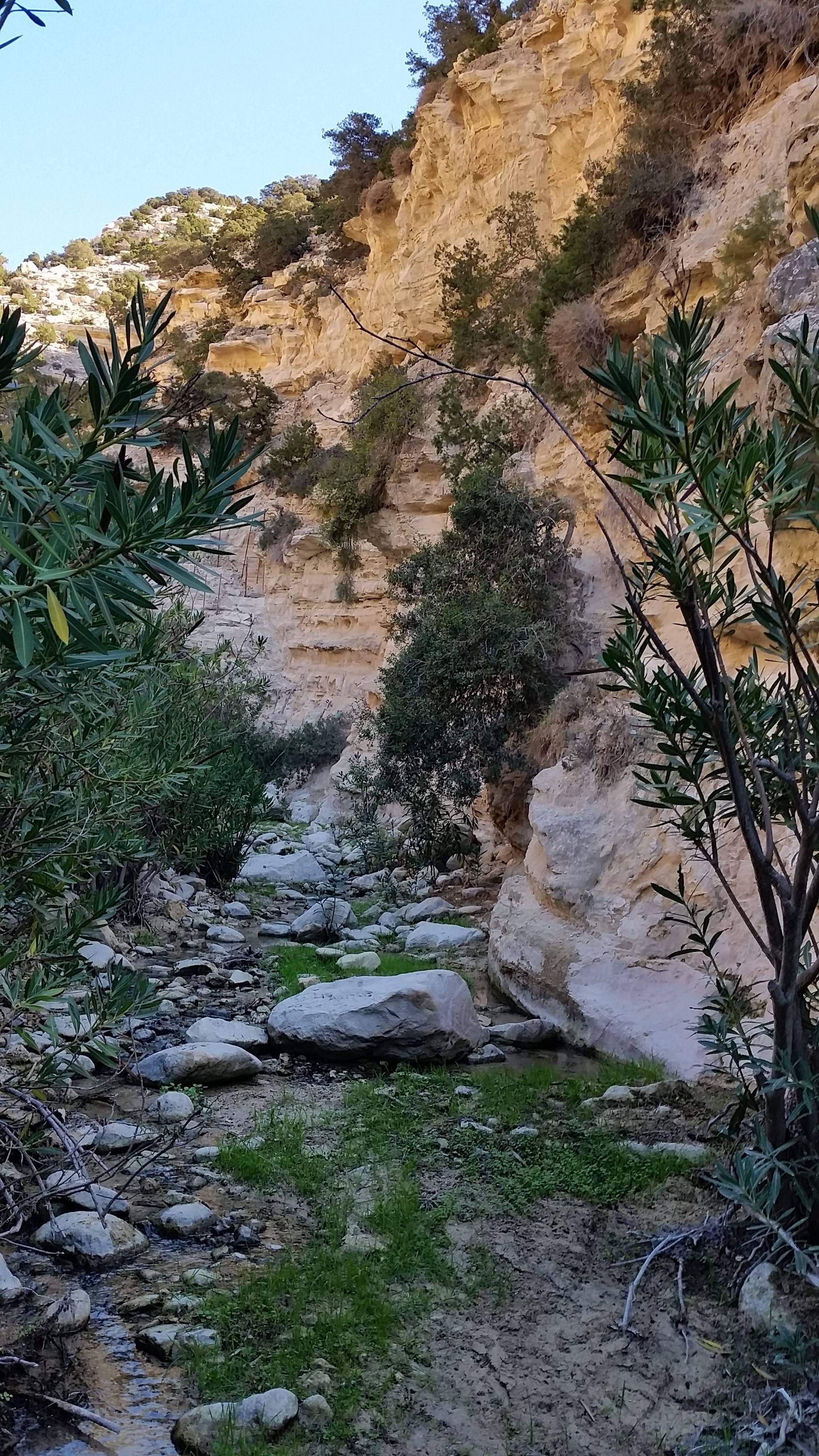 original 20161117 111144