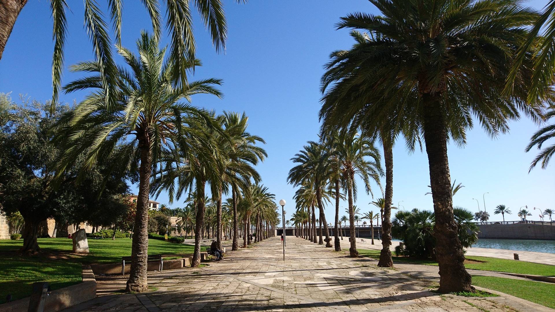 original pixabay palma-de-mallorca 1