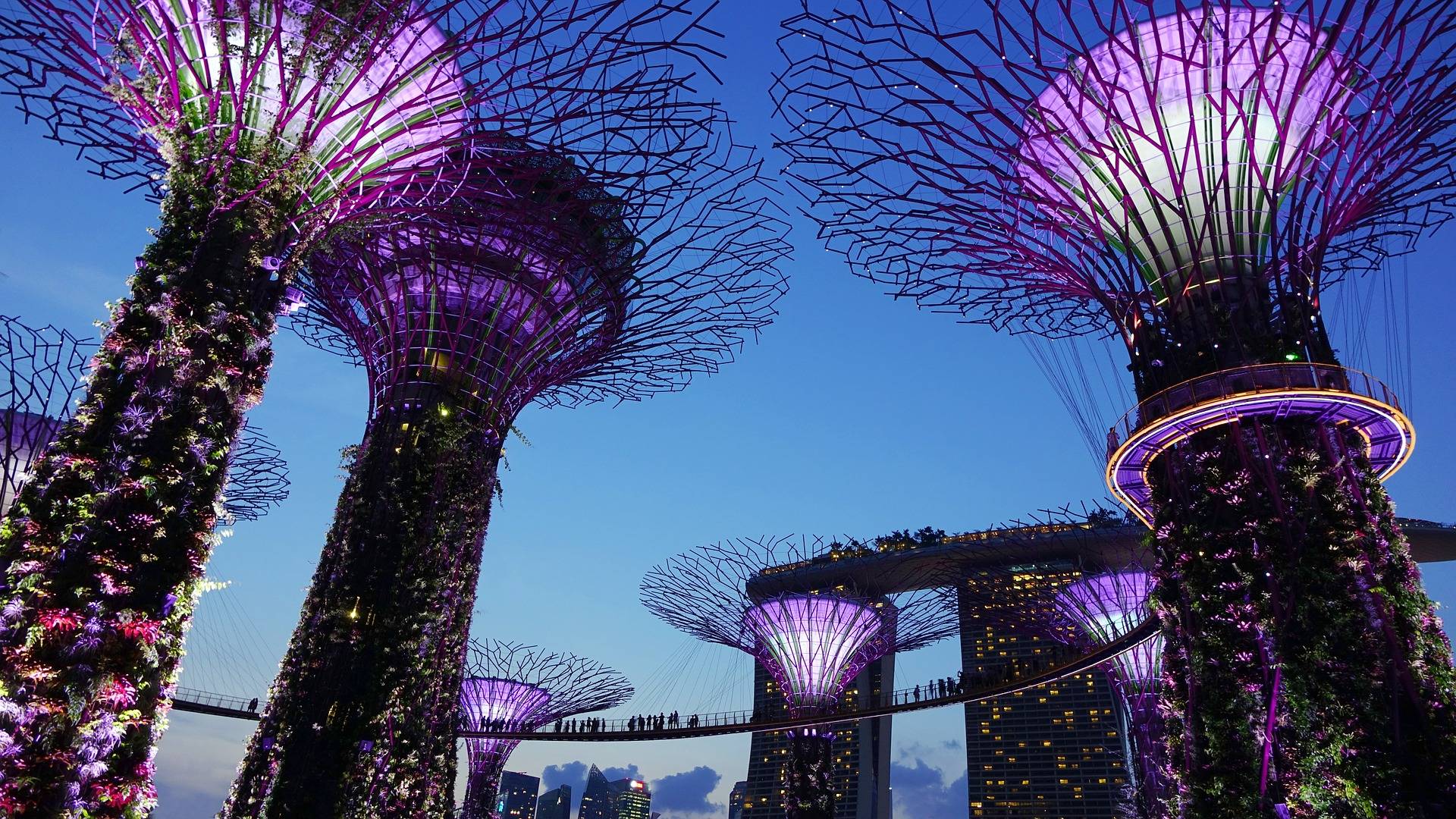 original pixabay singapur 1