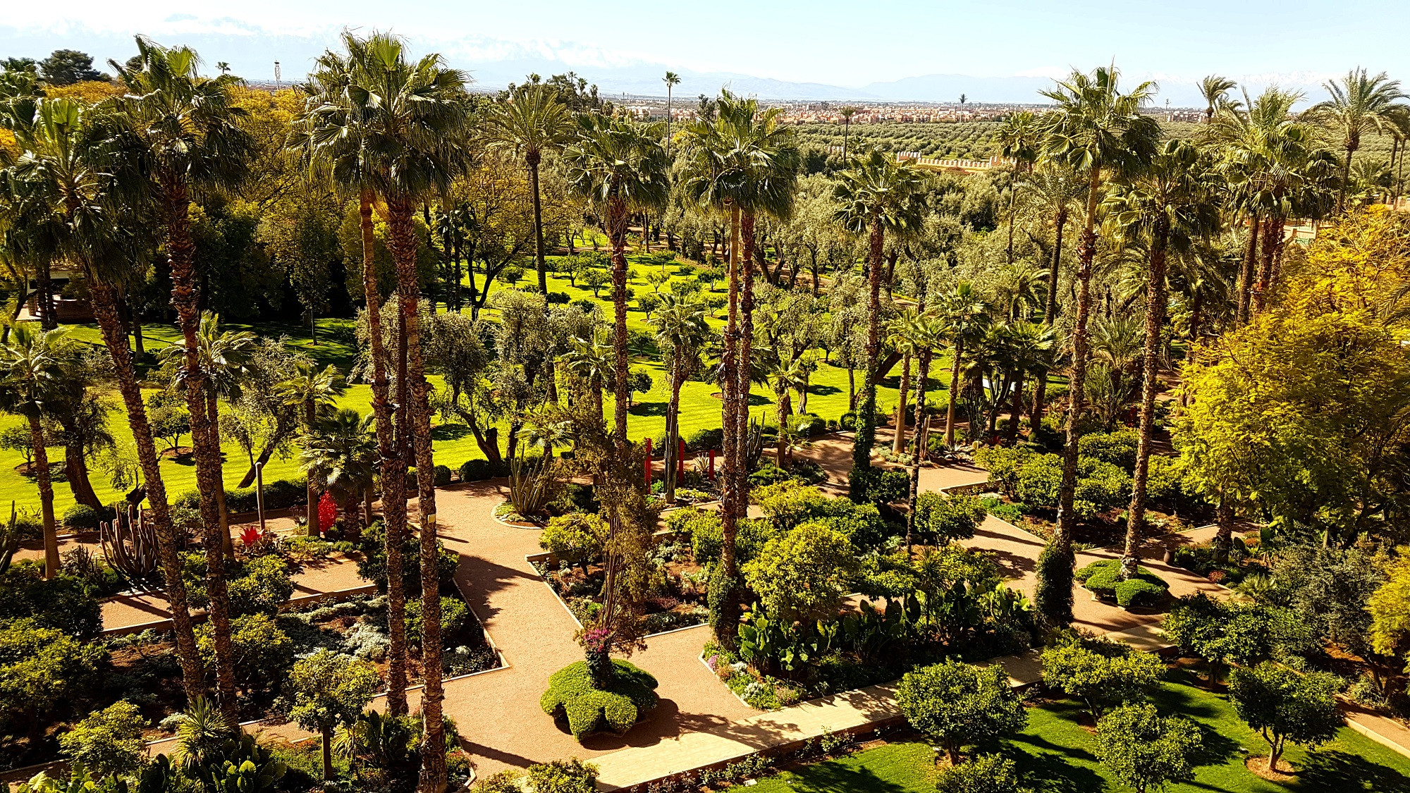original La Mamounia2