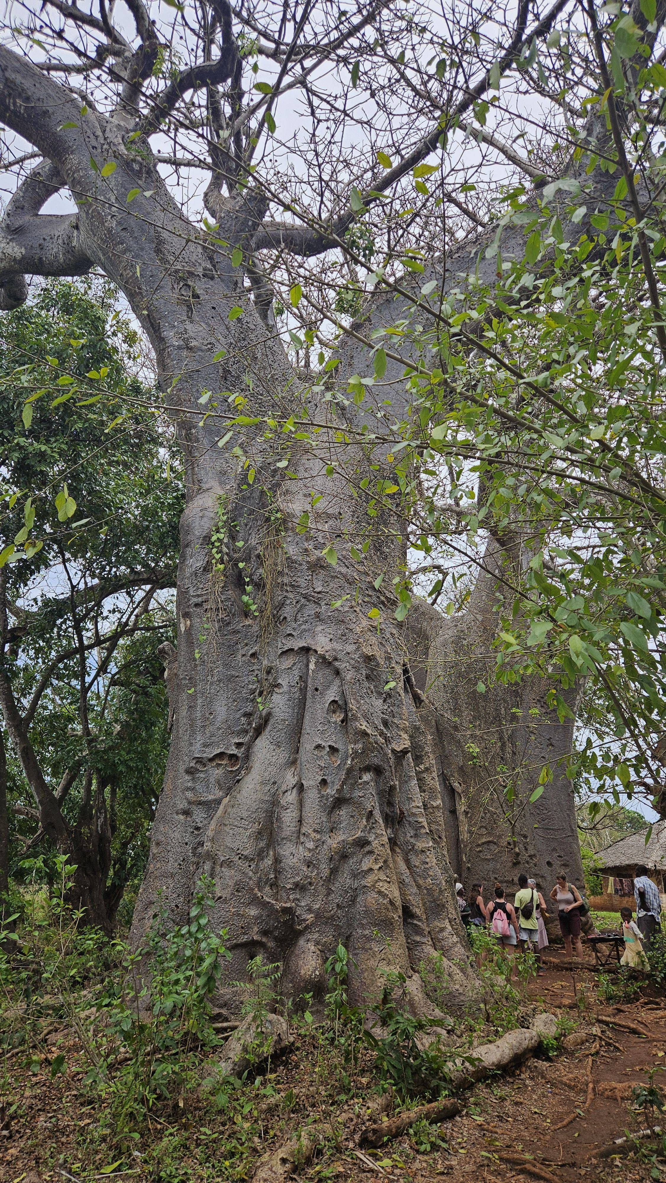 original 20260308 123110