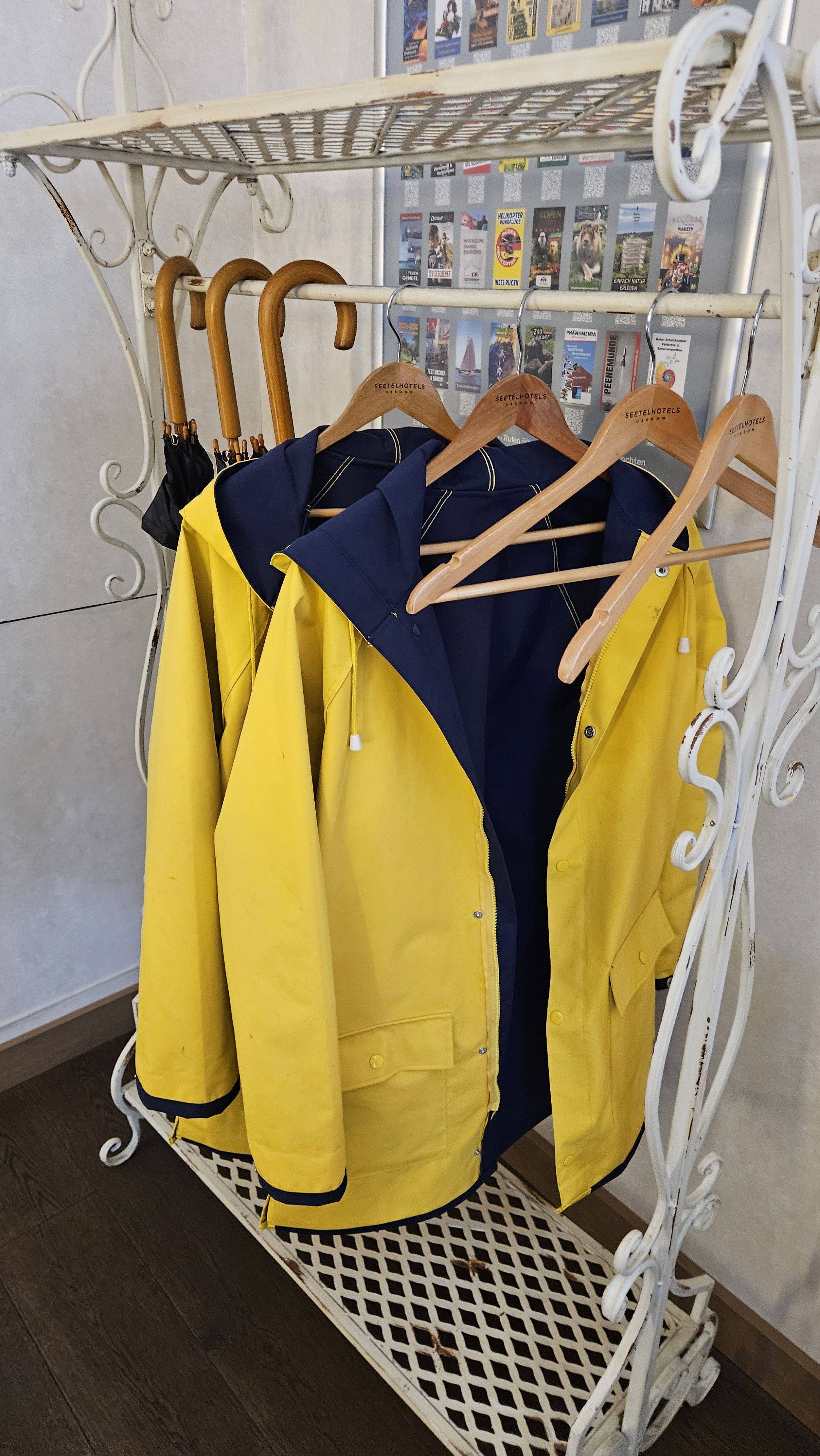 original 20260319 150638