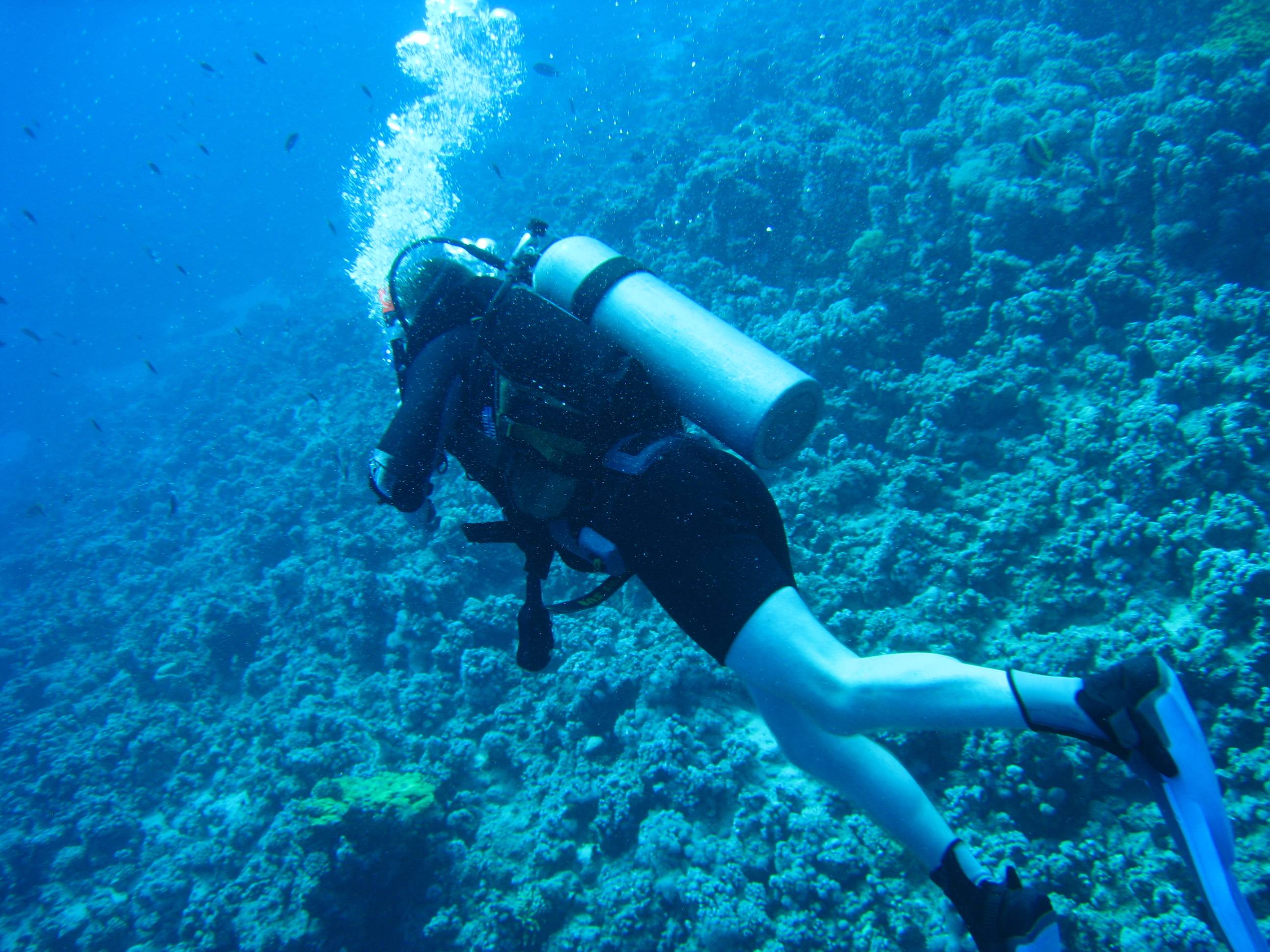 original Sharm el Sheikh 08 11  - 15 11 08 059 25 