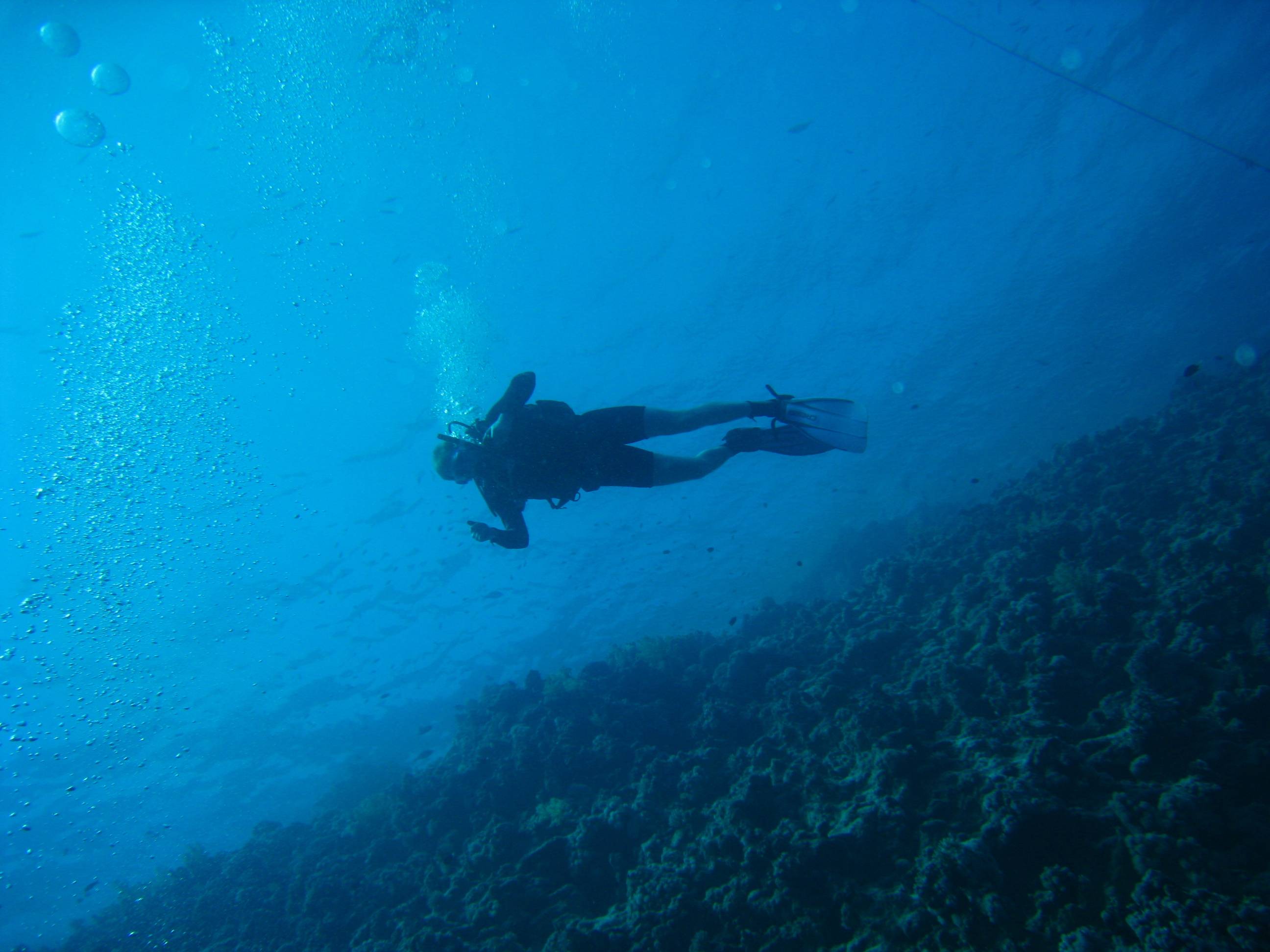 original Sharm el Sheikh 08 11  - 15 11 08 059 23 