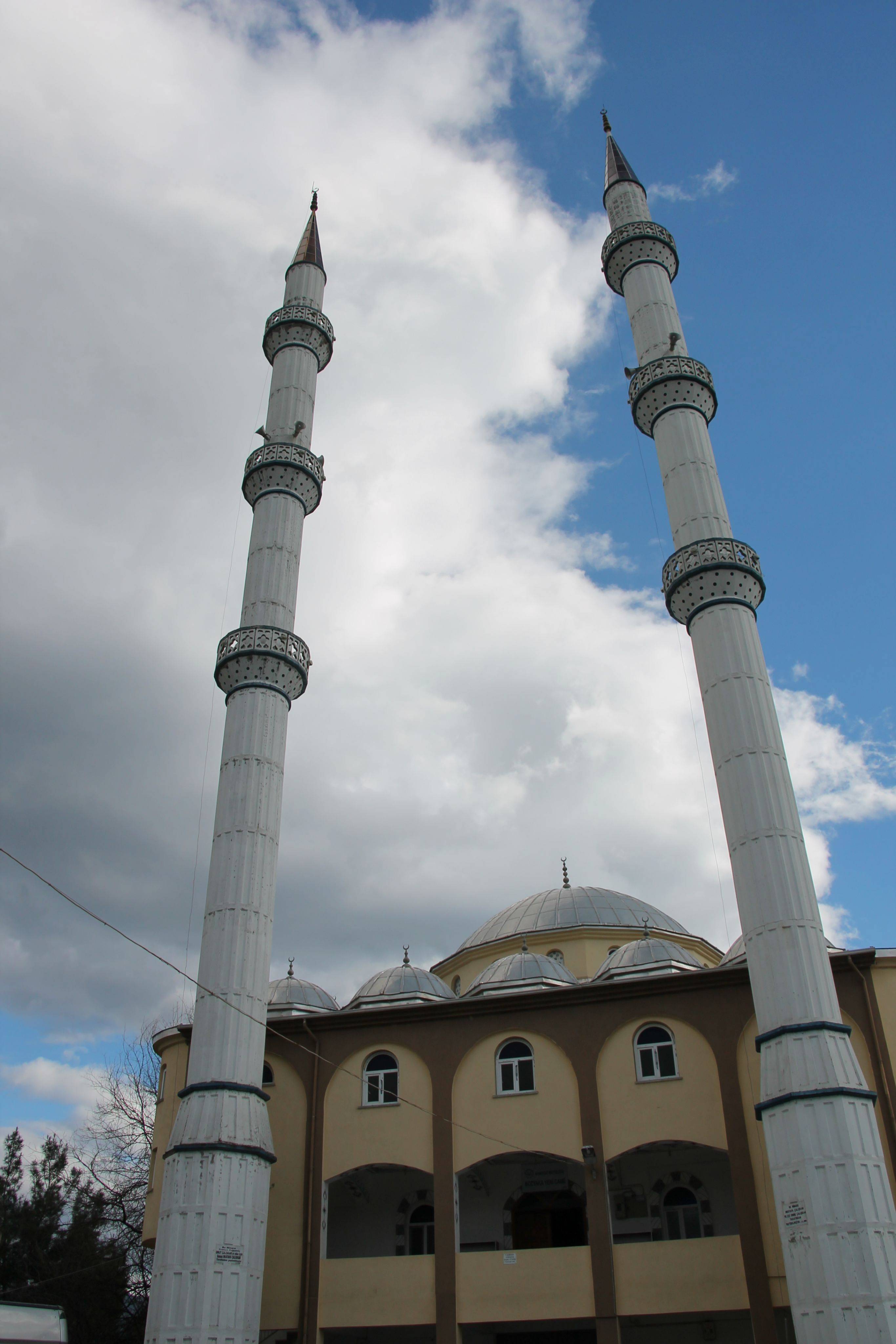 original IMG 0594