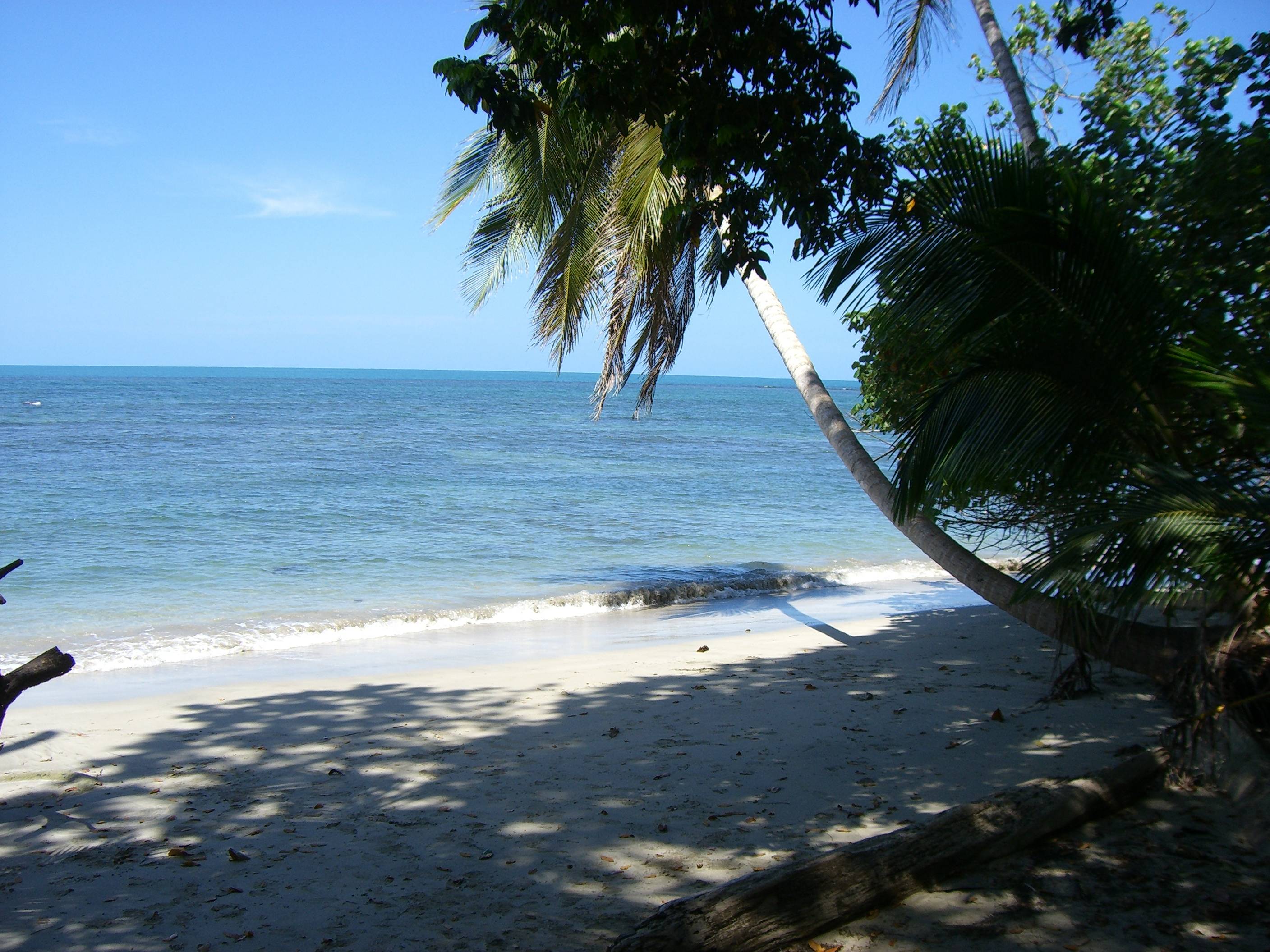original Costa Rica 2008 039