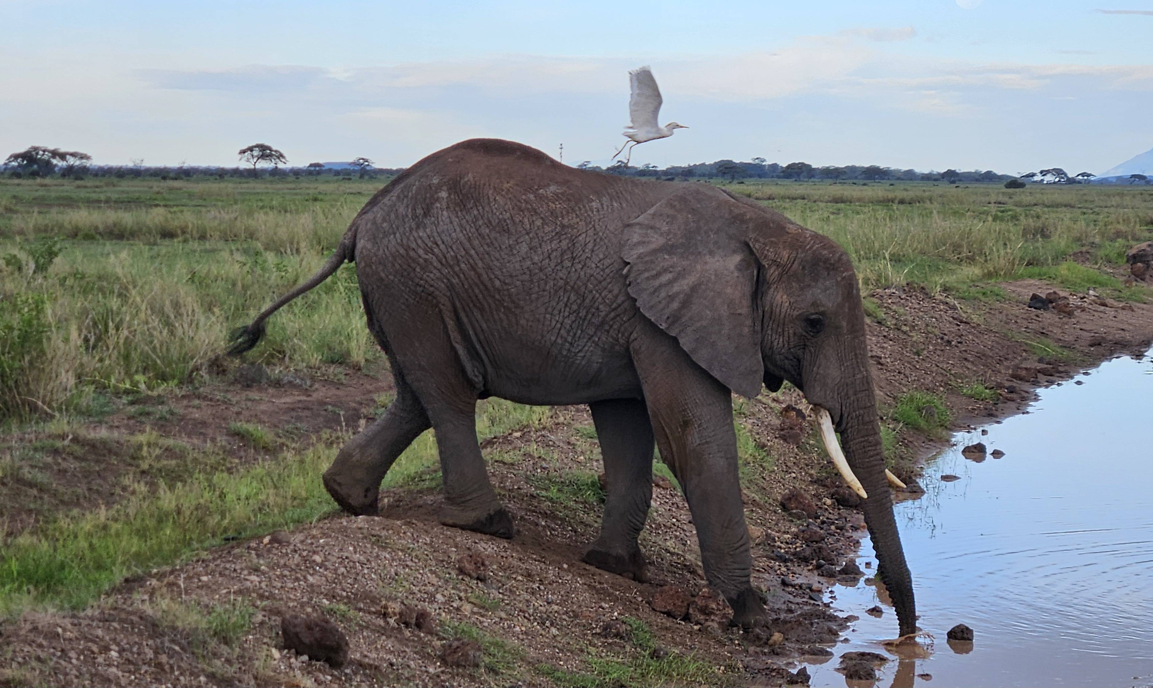 original 20260305 073915