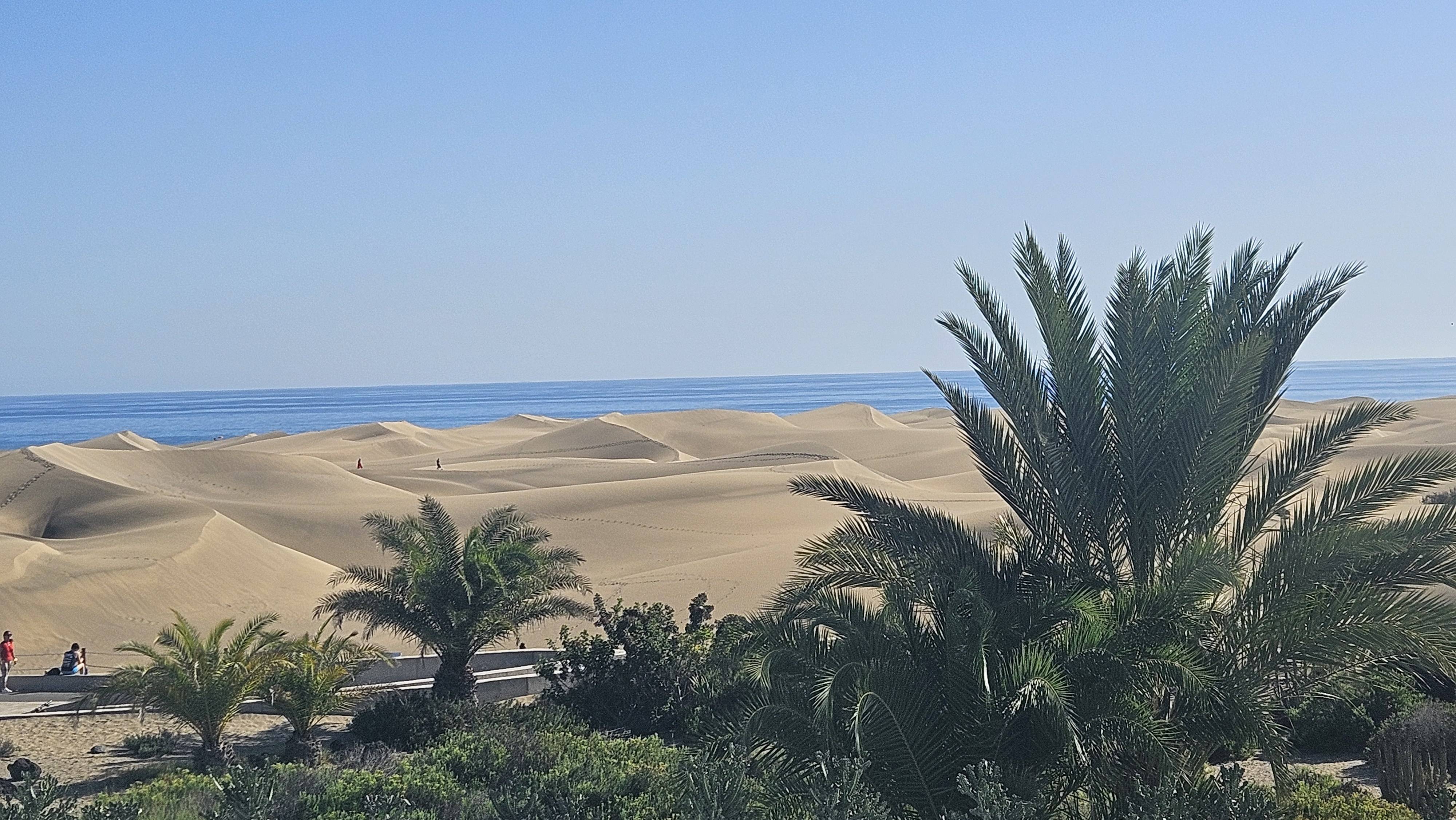 original 20251104 151846 original 20251104 151846