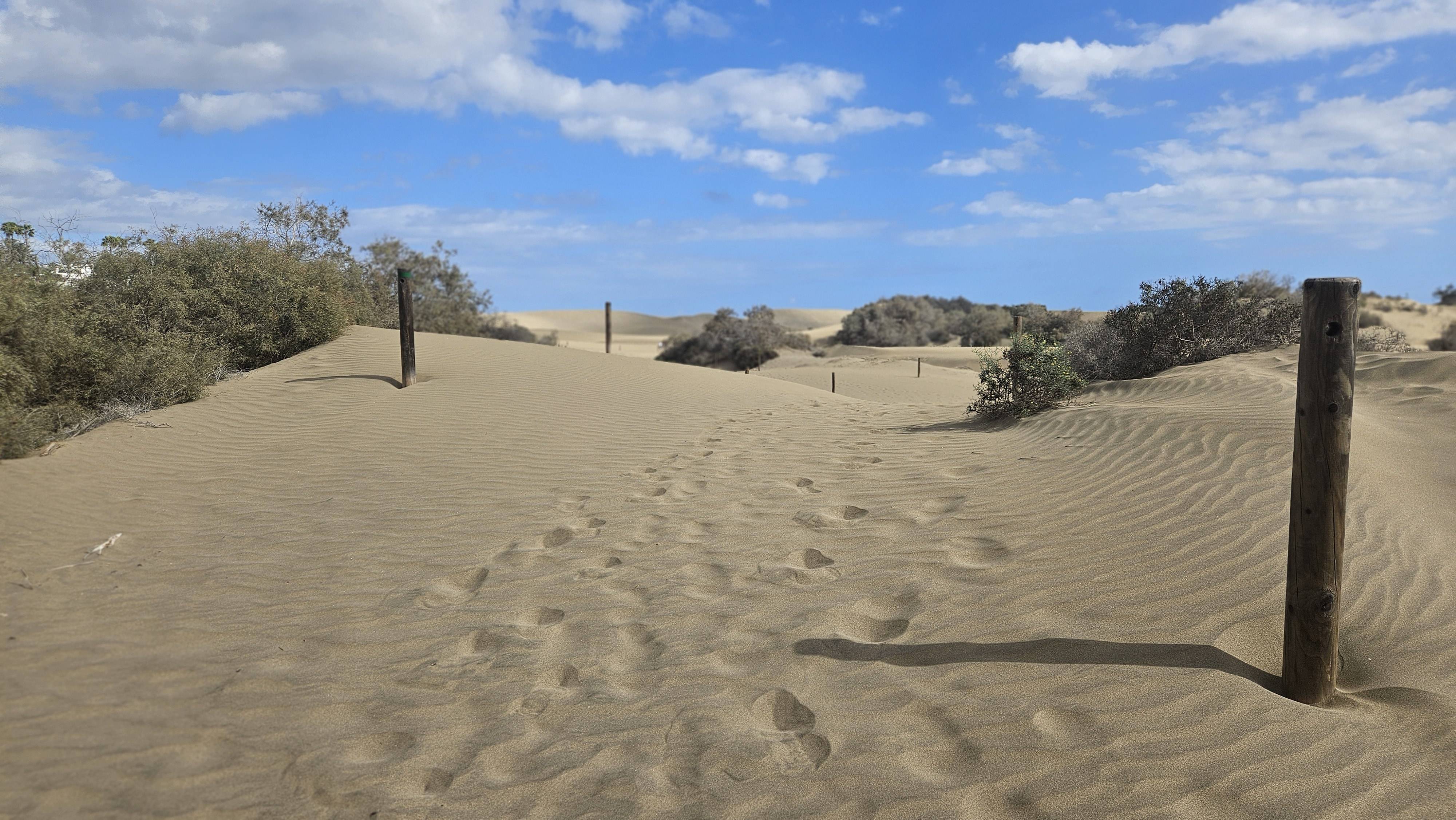 original 20251106 143640 original 20251106 143640