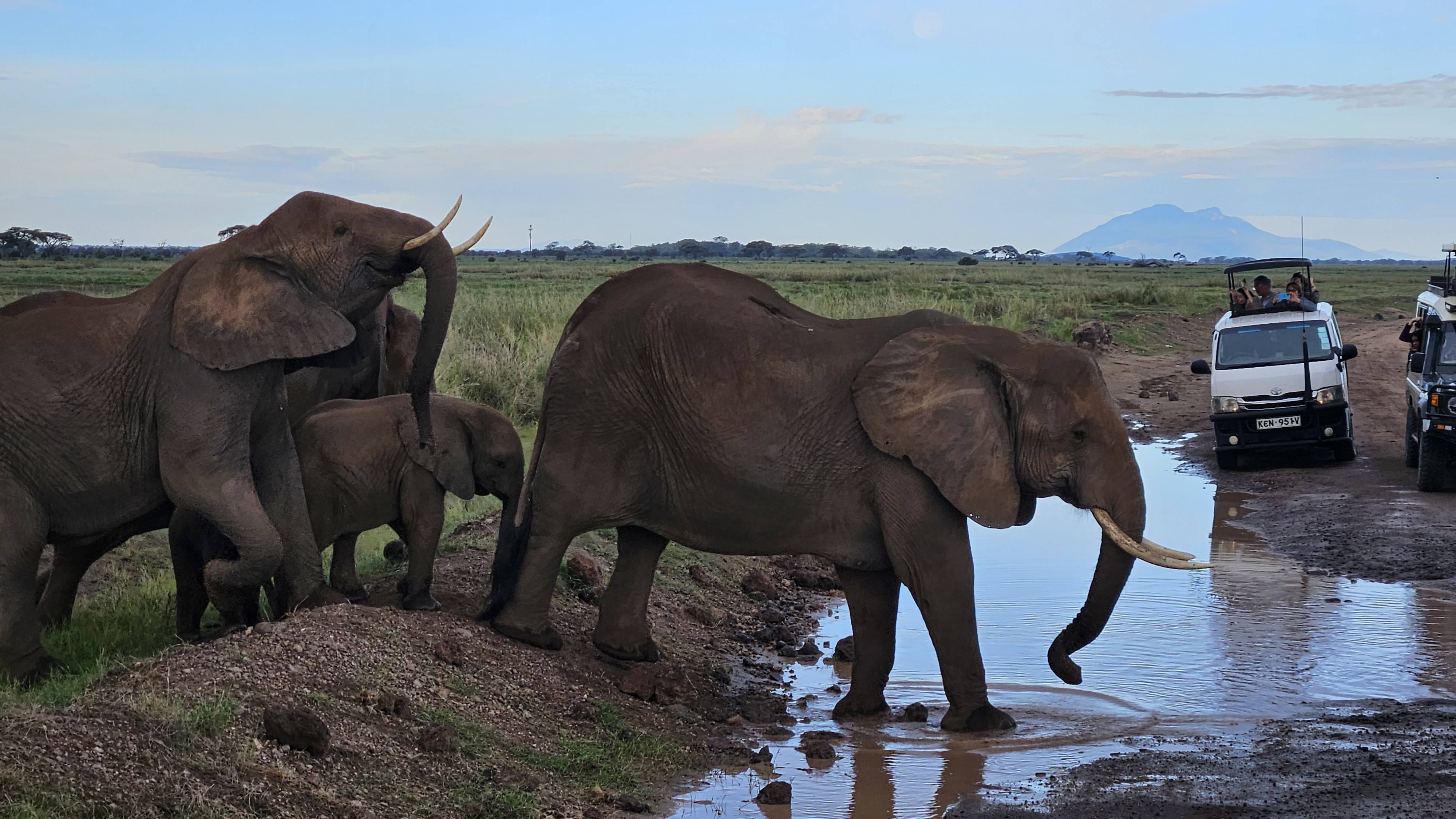 original 20260305 073505