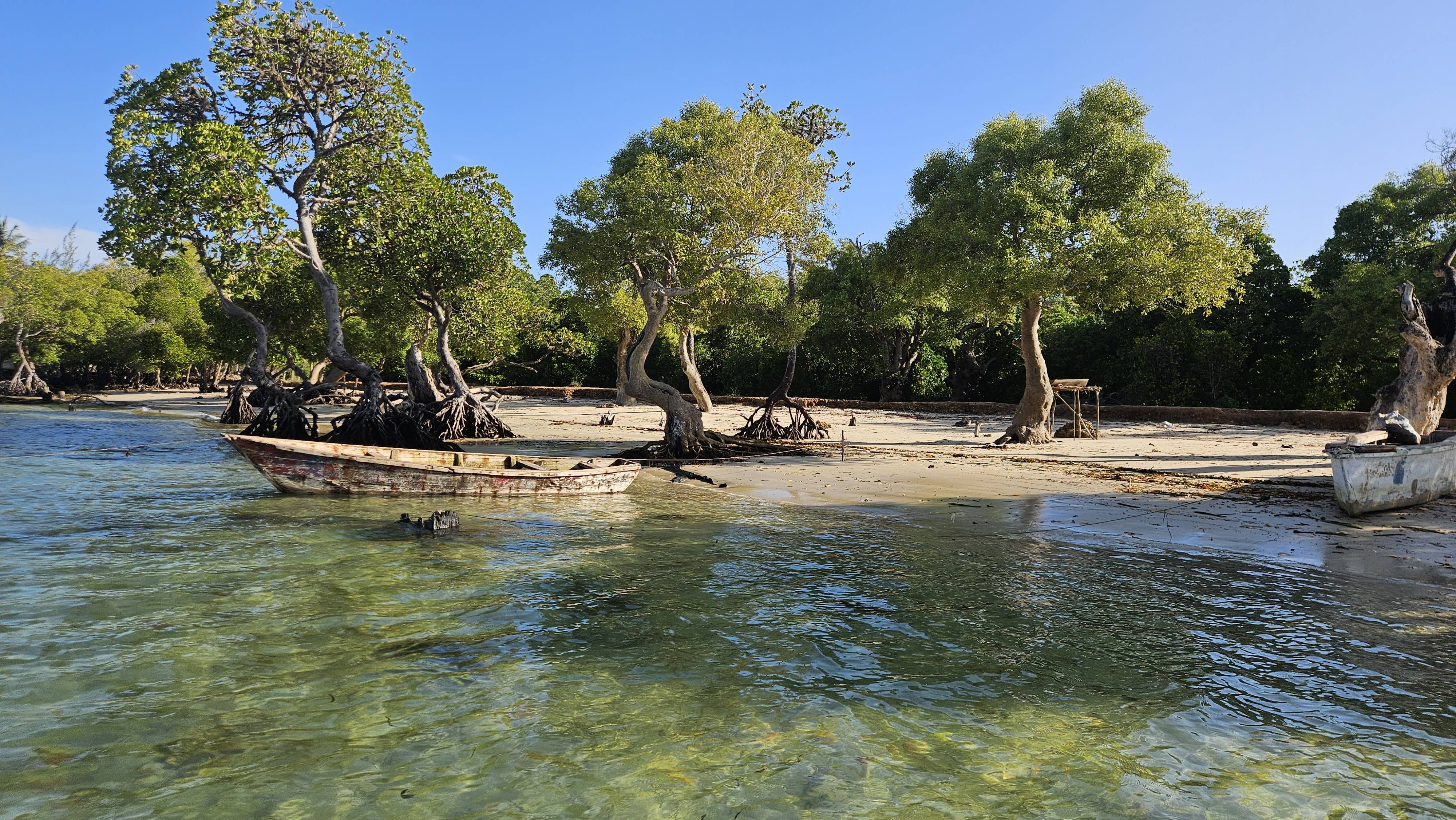 original 20260308 082344