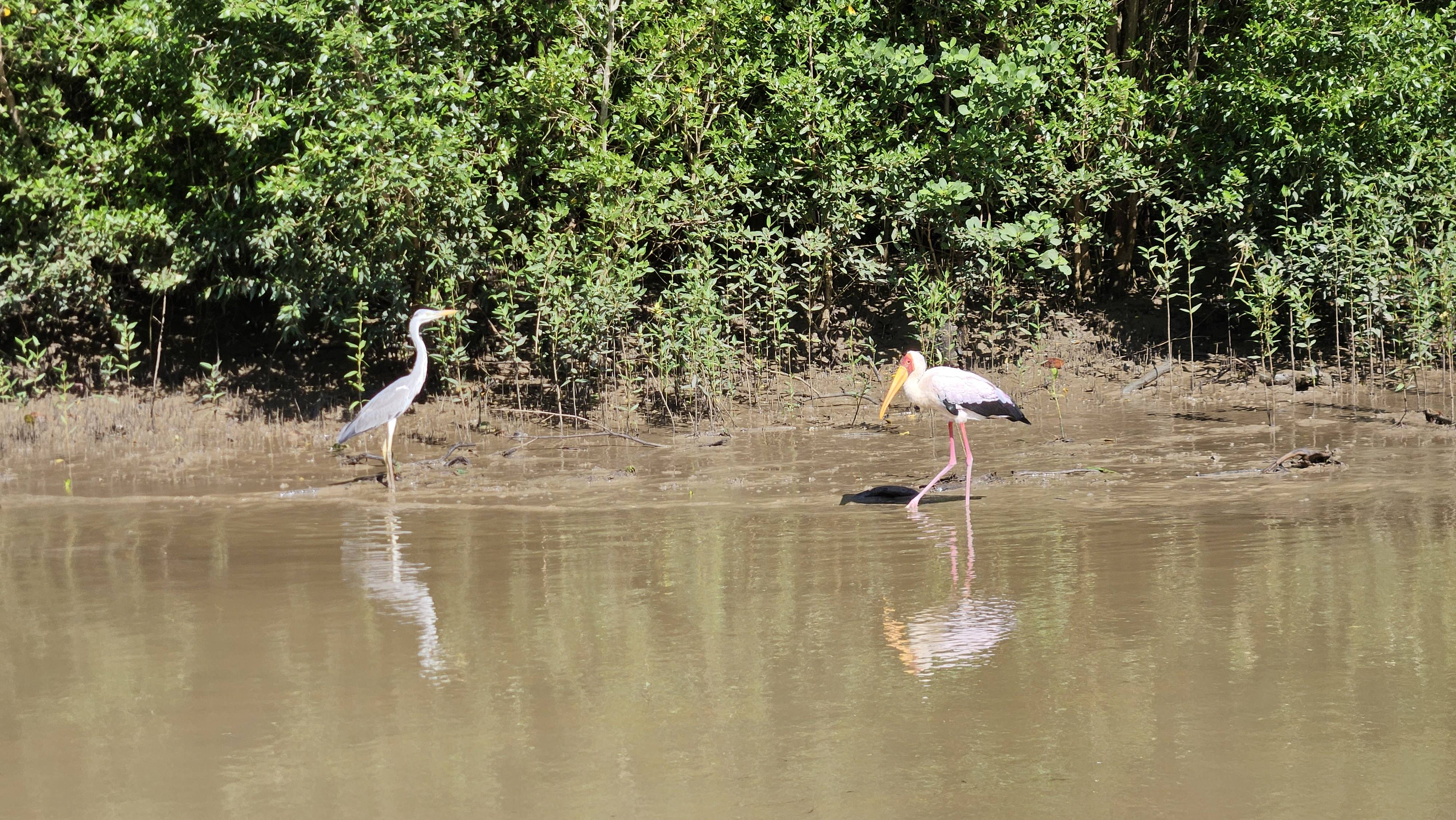 original 20260308 091516