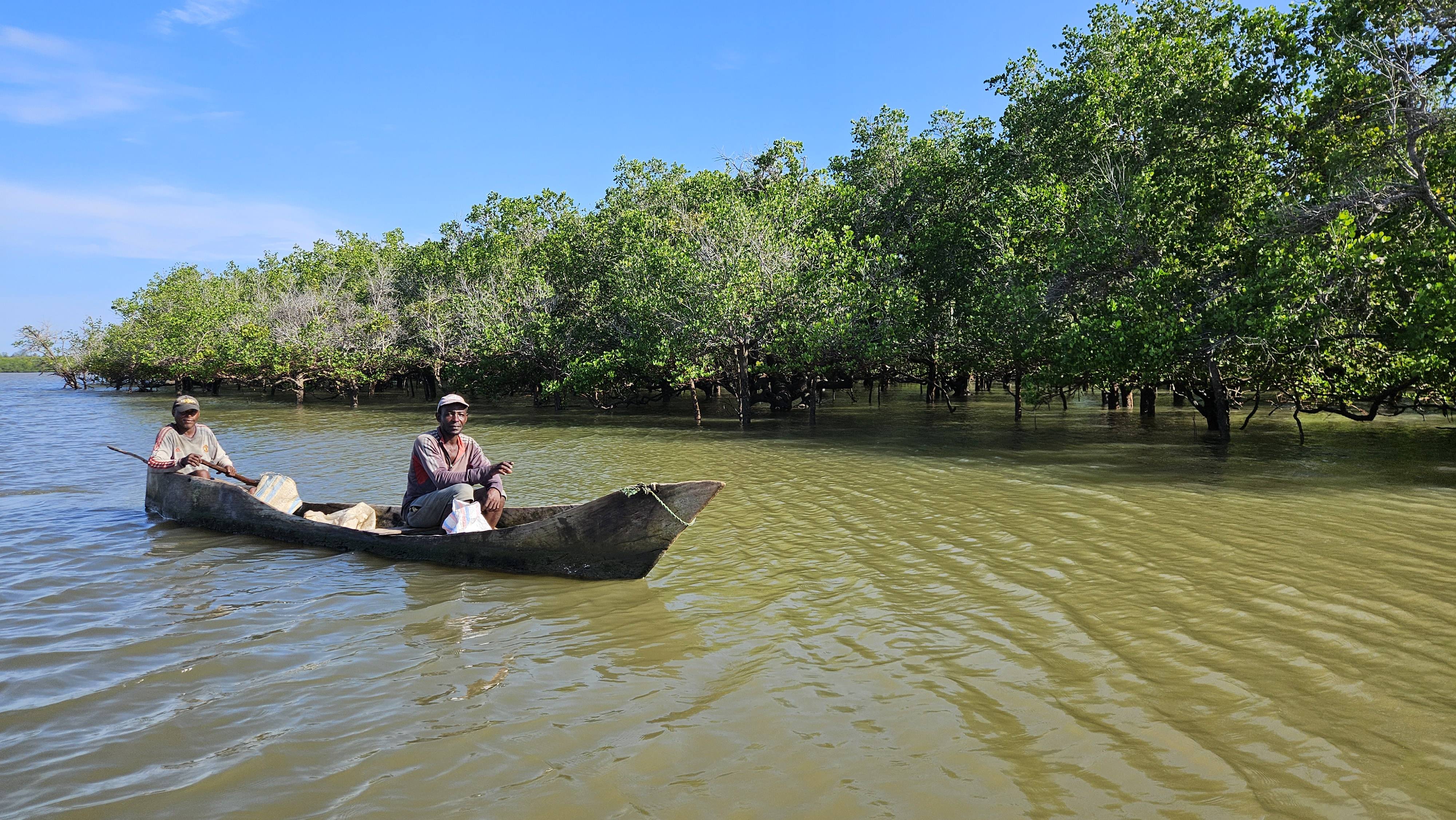 original 20260308 085033