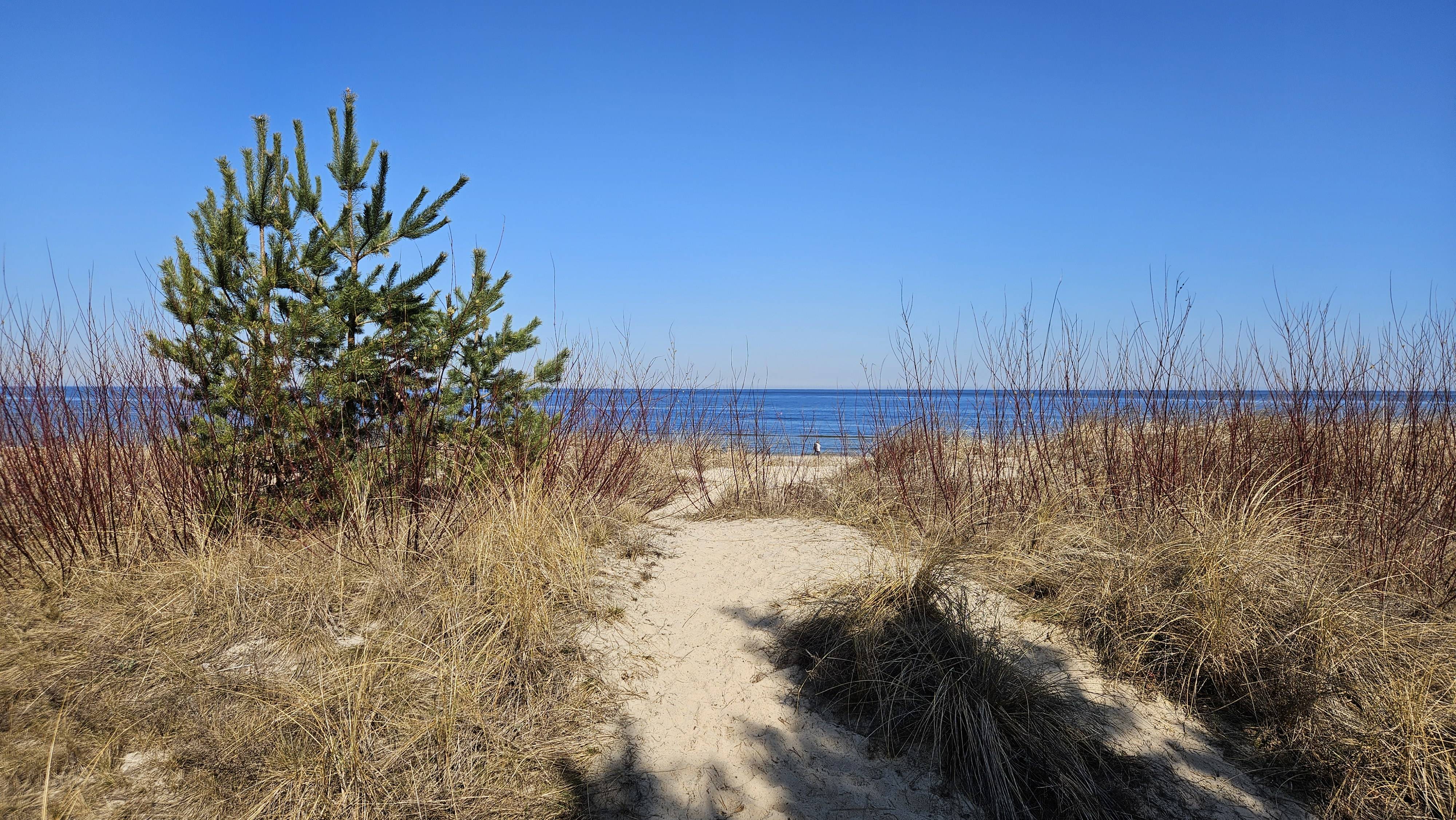 original 20260321 115141