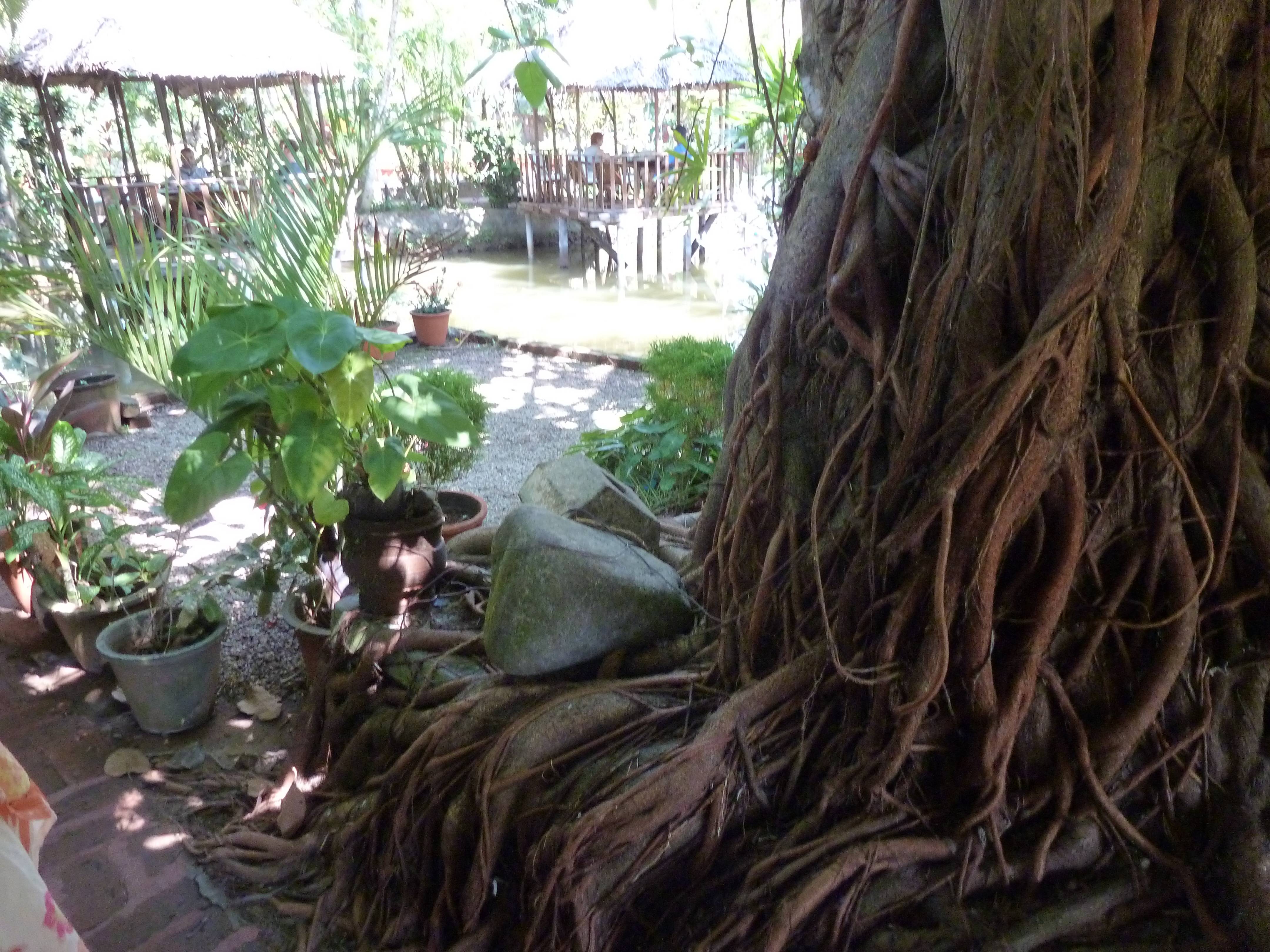 original P1000582