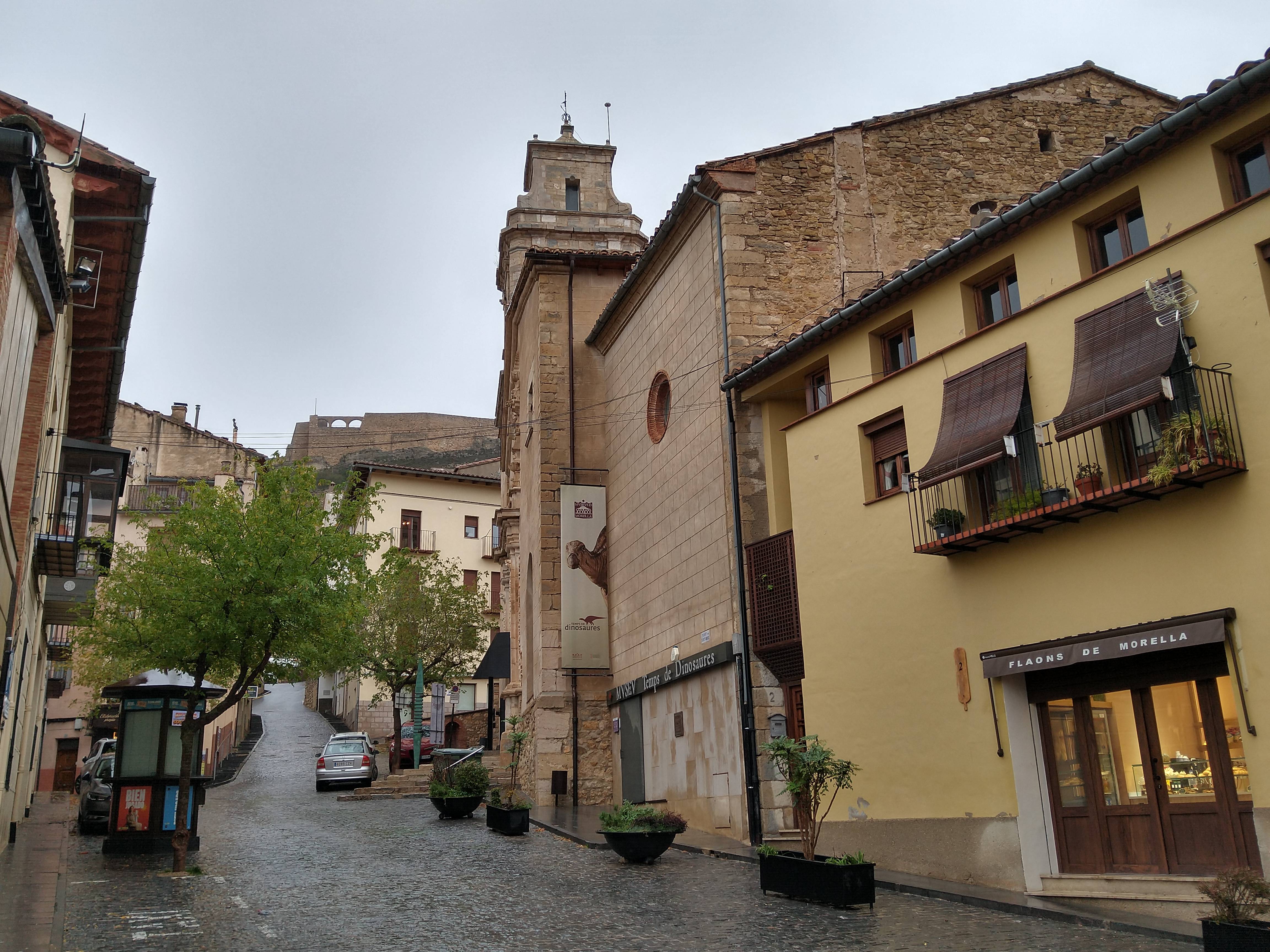 original IMG 20241028 095024237 HDR 1 Morella
