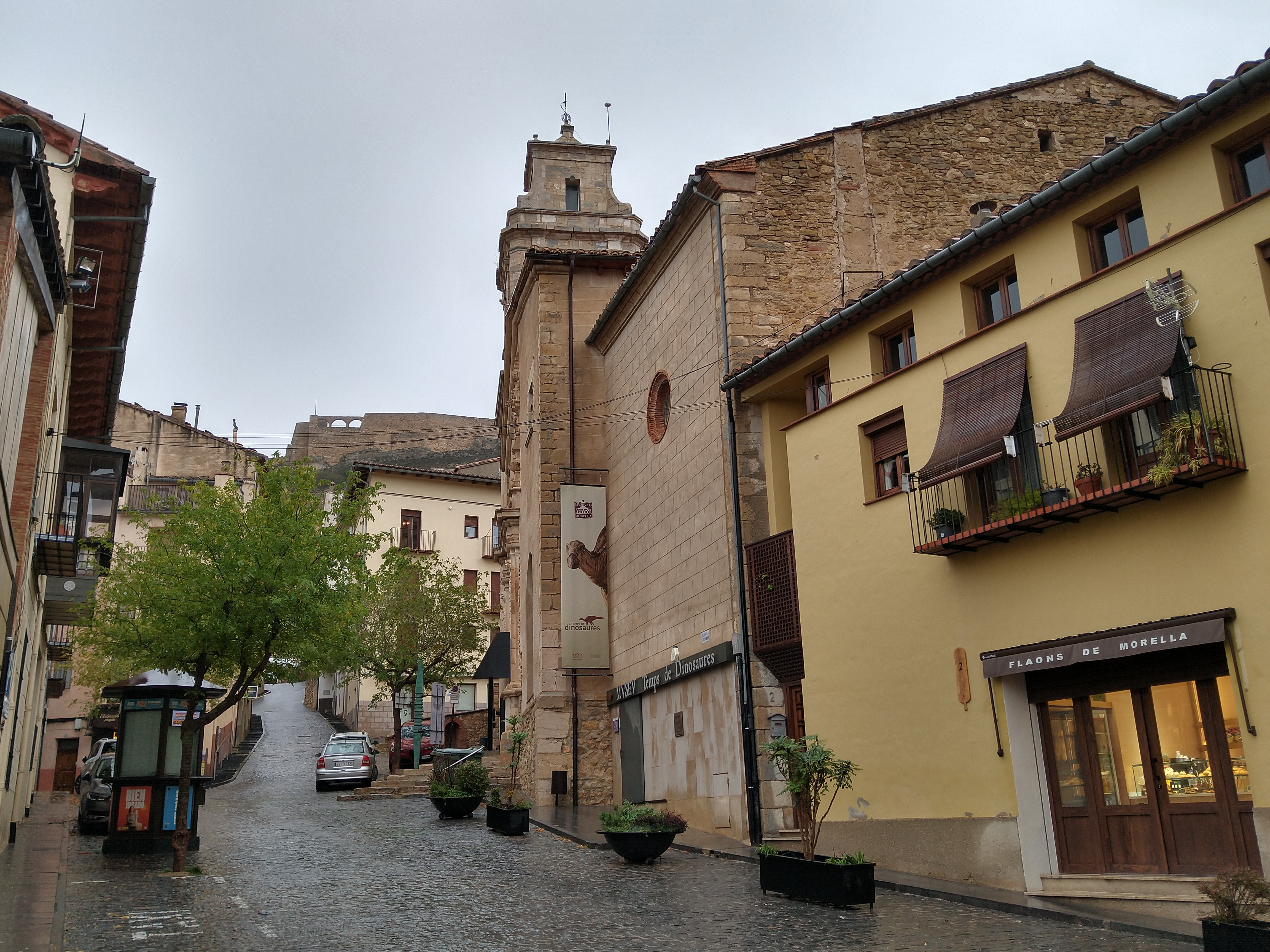original IMG 20241028 095024237 HDR 1 Morella