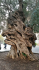 original 20141112 091039 Richtone HDR 
