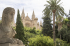 original pixabay palma-de-mallorca 5