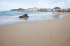 original ESP0414 Las Palmas 008 Web