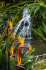 original pixabay azoren 5