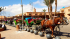 original Marrakesch5