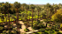 original La Mamounia2