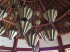 original IMG 0528