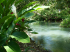 original pixabay jamaika 4
