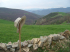 original pixabay jakobsweg 6