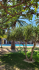 original PoolOlivenb ume Hotel Irini Mare