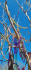 original New Orleans3