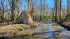 original Mississippi8