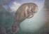 original Manatee