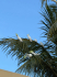original IMG-20260502-WA0013