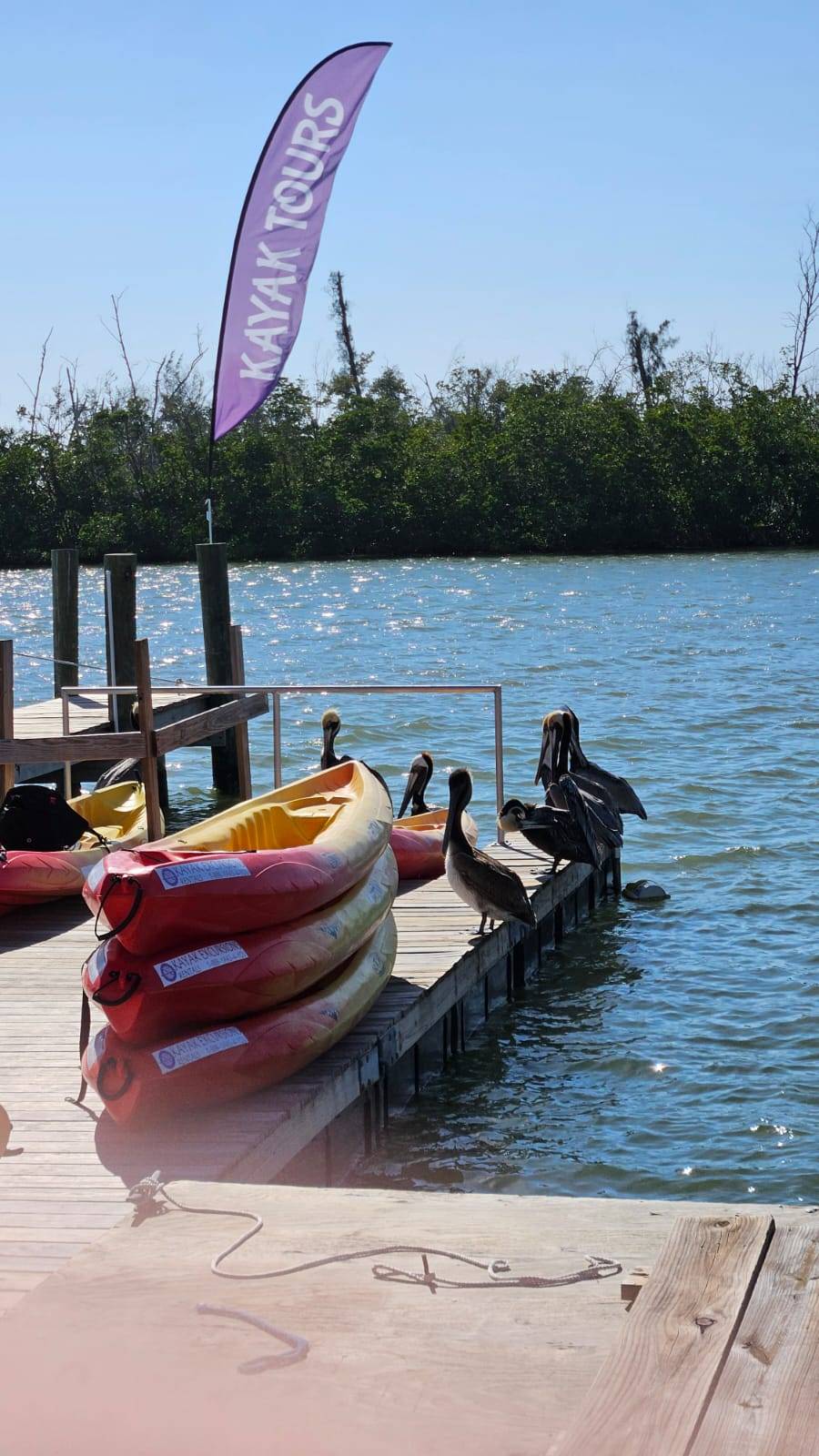 original PelicanBay1