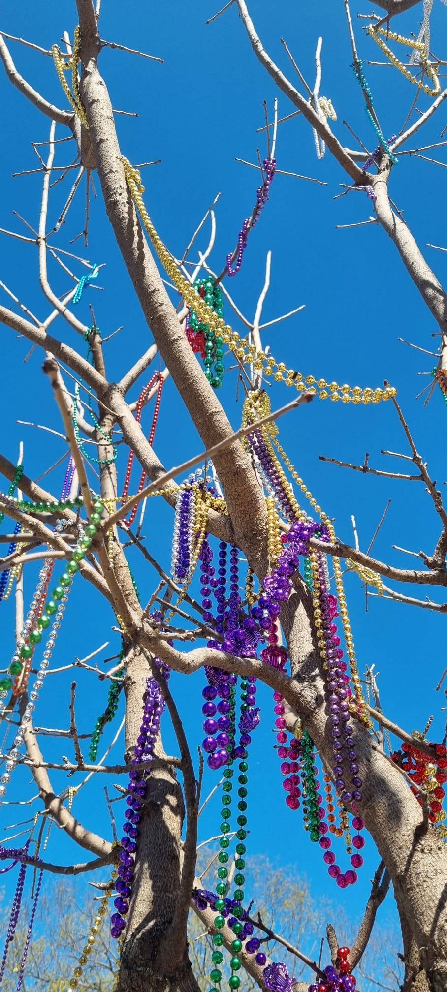 original New Orleans3