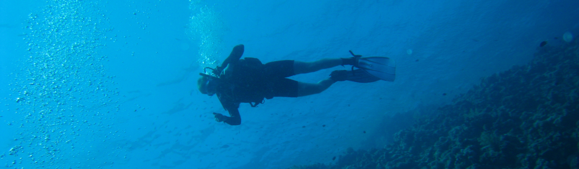 Sharm_el_Sheikh_08_11__-_15_11_08_059_23_
